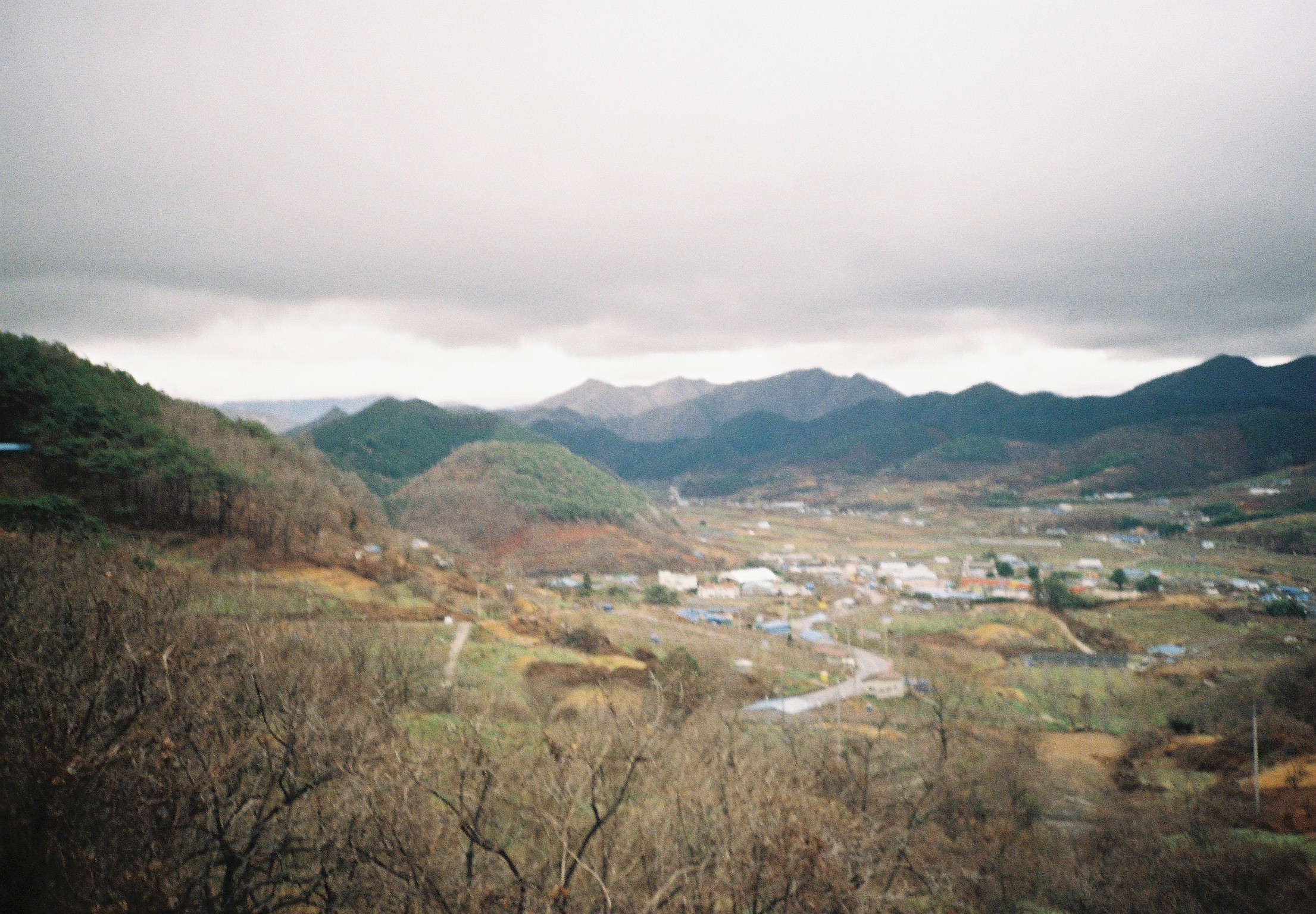 photo1